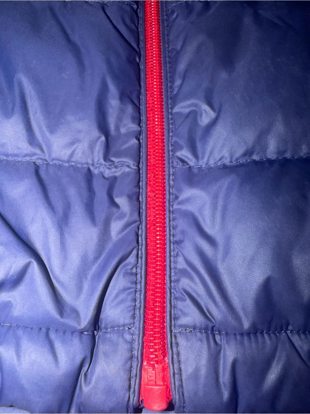 Polo by Ralph Lauren Kids Navy Hooded Puffer Jacket with Red Trim